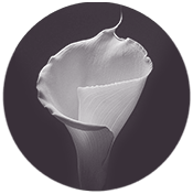 01 01
