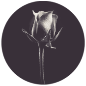 08 08